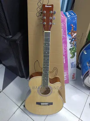 Acoustic Guitar Ibanez 40