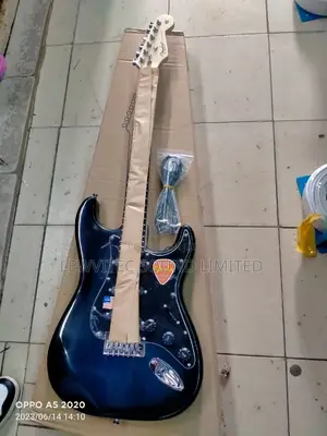 Fender Blue Black Guitar
