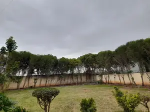 Syokimau 1/4 Acre Plot for Sale