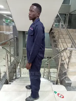Blue Overalls