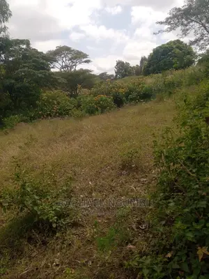 Half Acre at Machakos Town Kariobangi