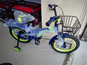 Luta Size 16 Boys Bicycle
