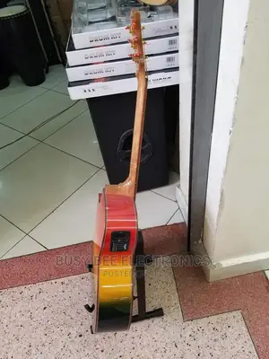 Semi Acoustic Box Guitar