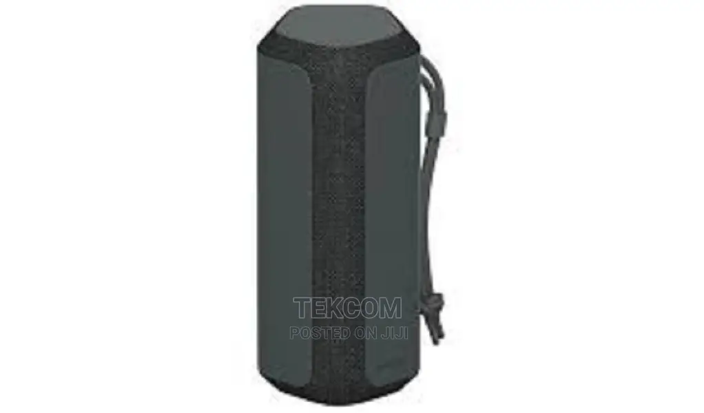 Sony SRS-XE300 Portable Wireless Speaker