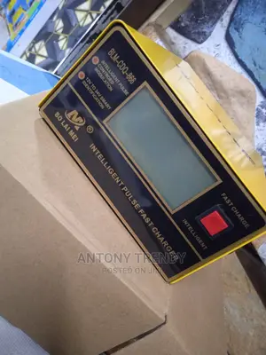 Battery Charger, 12volts and 24volts