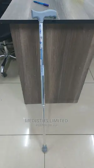 Walking Stick