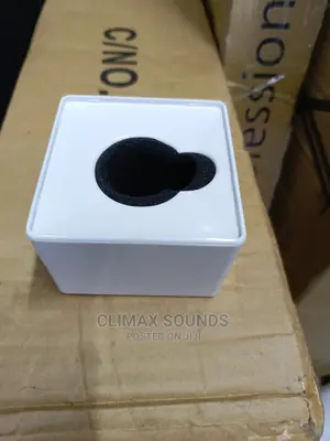 Pure White Microphone Flag