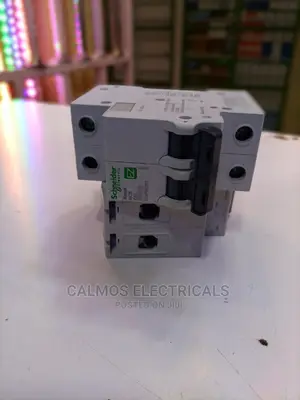 Schneider Double Pole 63A