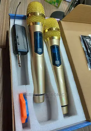 Professional Wireless Microphone( 2pcs)