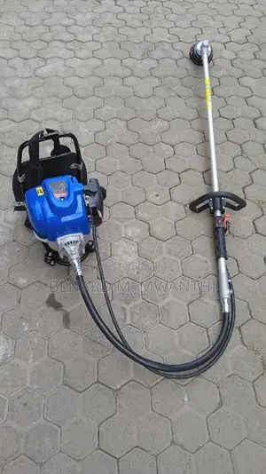 Brush Cutters Backpack
