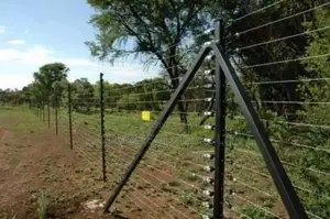 Standalone Electric Fence On Poles