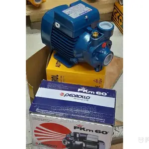 Pedrollo Booster Water Pump 0.5hp
- Blue