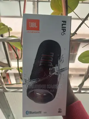 JBL Flip 6 Portable Bluetooth Speaker