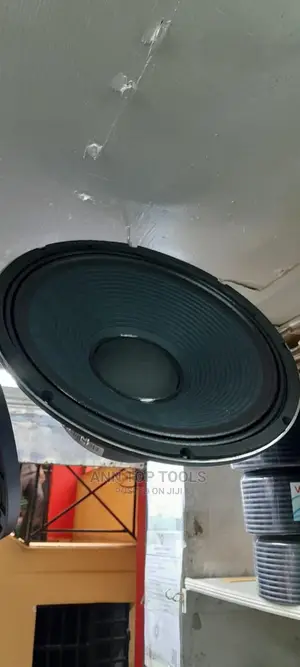 JBN 800 Watts Naked Speaker System