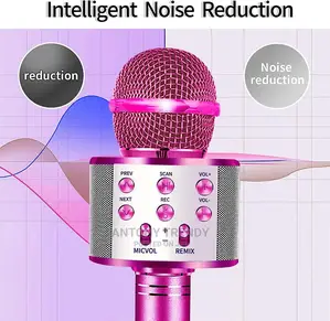 4 In 1 Wireless Portable Karaoke Microphone With Speaker