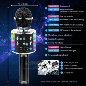 Chenan Wireless Bluetooth Karaoke Microphone