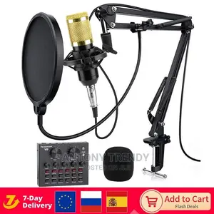 Bm800 Condenser Microphone Professional Voice Record