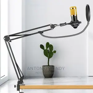 Bm800 Condenser Microphone Professional Voice Recording