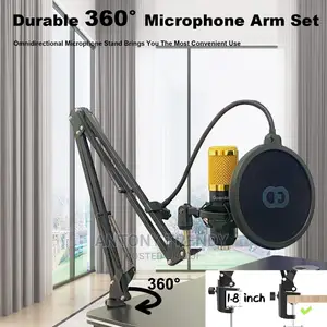 Professional Voice Recording Microphone for Phone