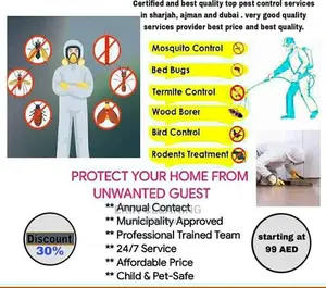 Cheap Super Fumigation of Pest Control