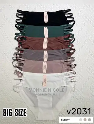 Seamless Panties- High Quality