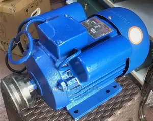 Kmax Italy 7.5hp Low Speed Single Phase Motor