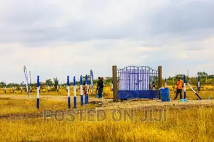 Koma Plots With a Beautiful View at Mw