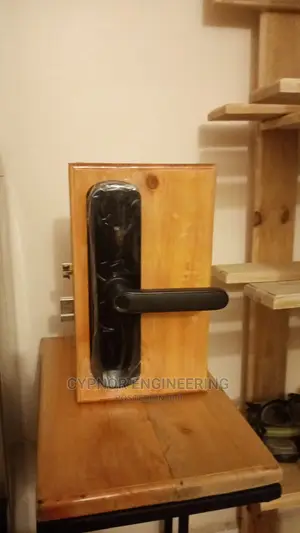 Biometric Door Locks for Unparalleled Security