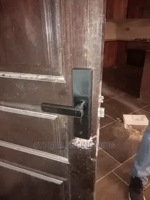Biometric Door Locks for Easy Access and Security