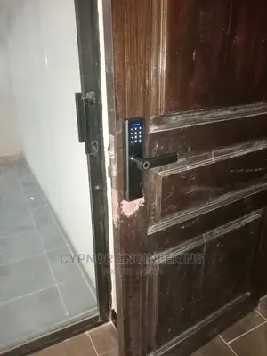 Intelligent Biometric Smart Locks