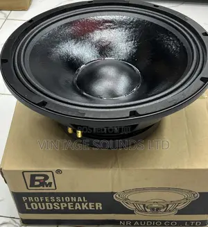Newretone Bm-Az20 Low-Mid Professional Loudspeaker 15 “