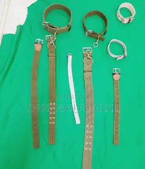 Canvas Dog Collars High Quality in Small Medium and Large