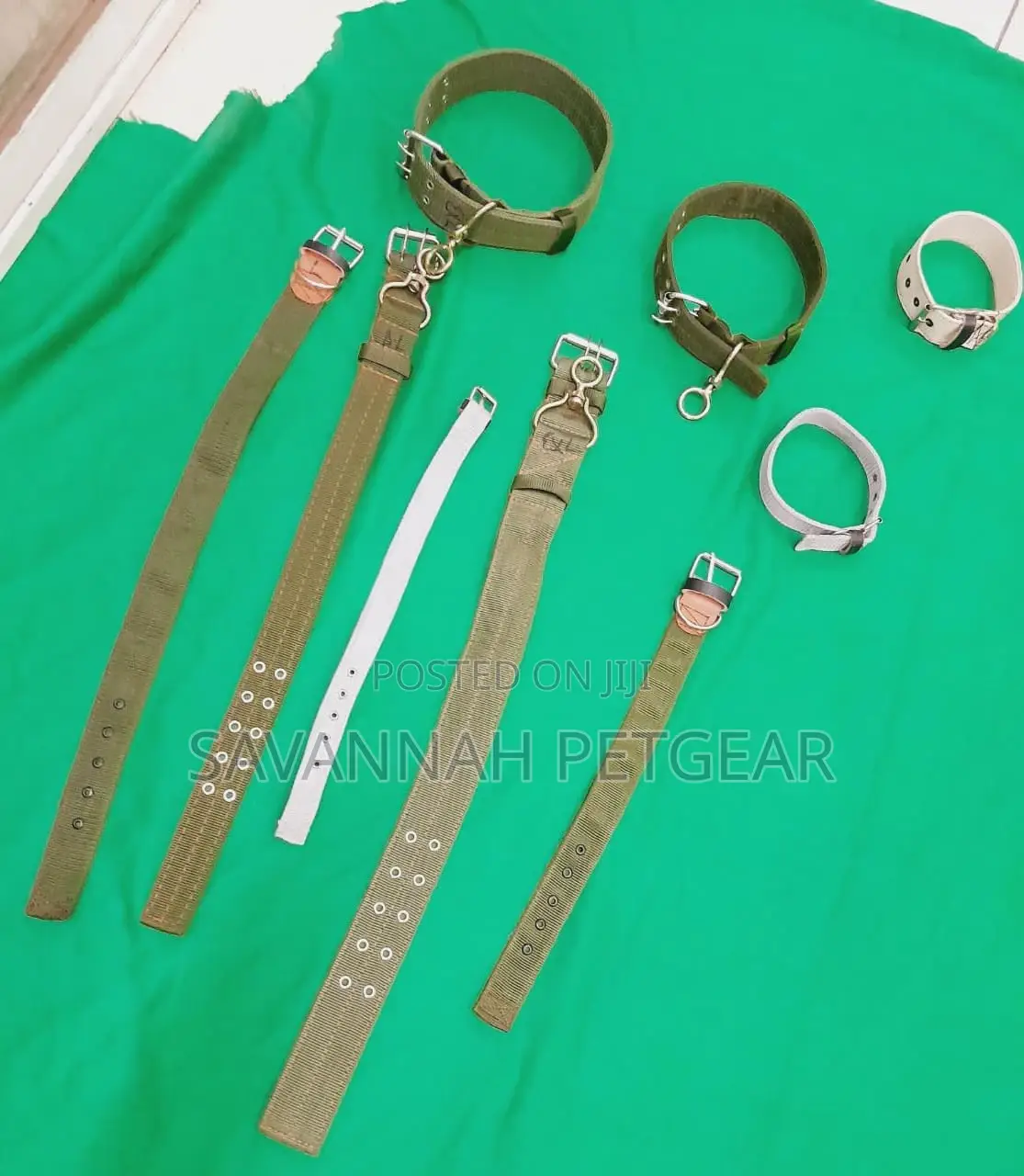 Canvas Dog Collars High Quality in Small Medium and Large