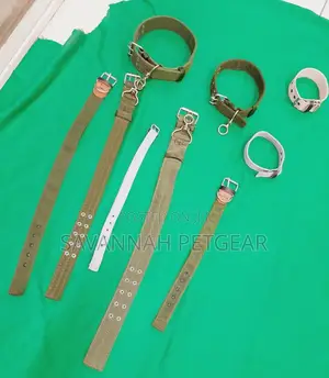 Canvas Dog Collars High Quality in Small Medium and Large