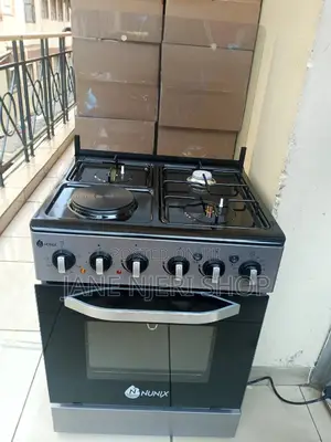 60 by 60 Standing Cooker