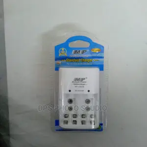Multiple Power Standard Charger