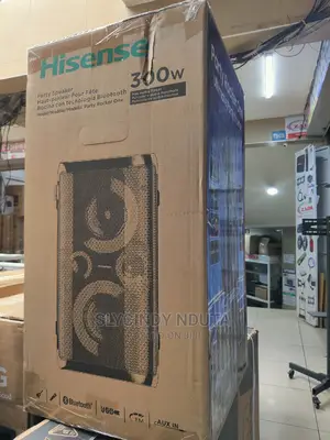Hisense 300W Party Rocker One
