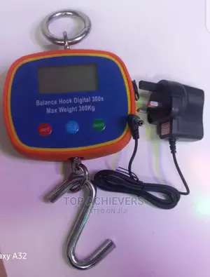 Chargable Digital Hanging Scale 300kg