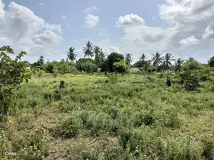 One Acre Prime Land in Kinondo