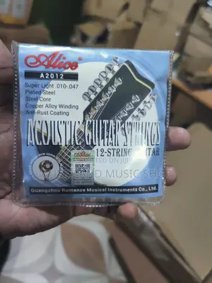 12 String Acoustic Guitar Strings