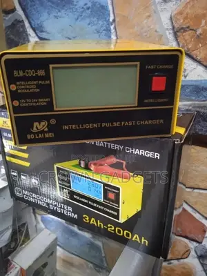 BOLAIMEI BLM-866 12v/24v Car Battery Charger Auto