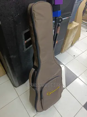 Electric Guitar Bag Brown