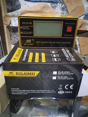 Trickle Battery Charger 10A 12v/24v Auto Recognition Car