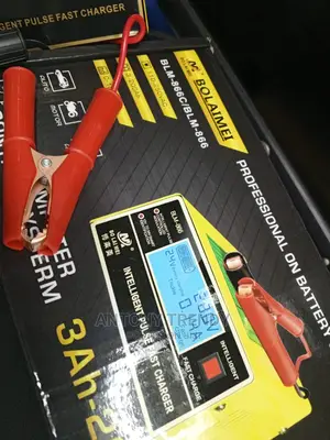 12v/24v Intelligent Car Battery Fast Pulse Charger