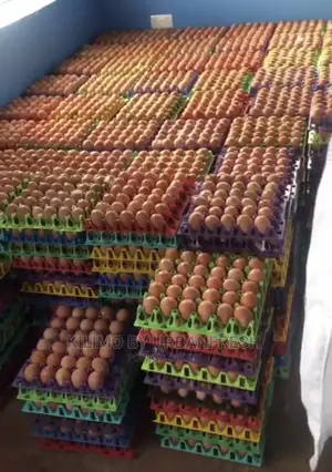 Table Eggs : Layers , Improved , Pure Kienyeji. Moq 10 Trays