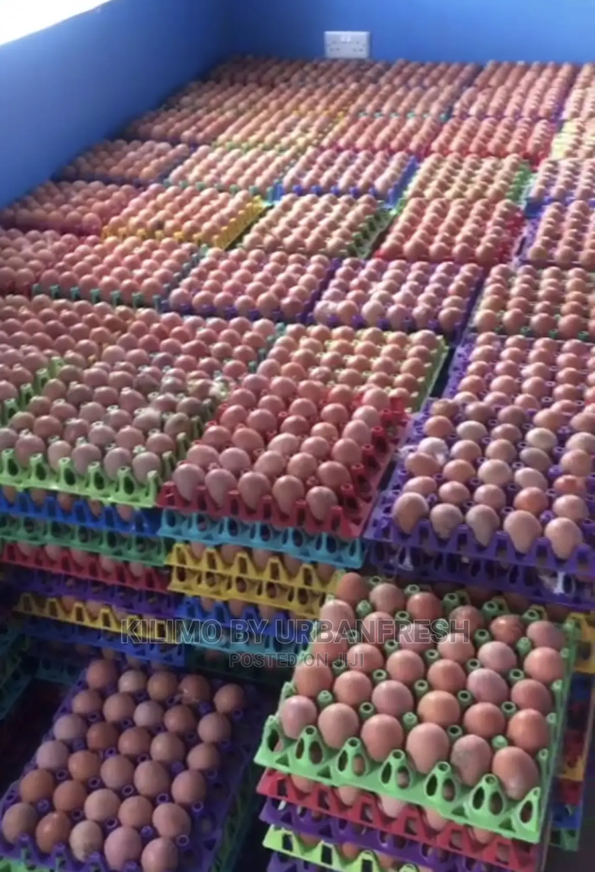 Table Eggs : Layers , Improved , Pure Kienyeji. Moq 10 Trays