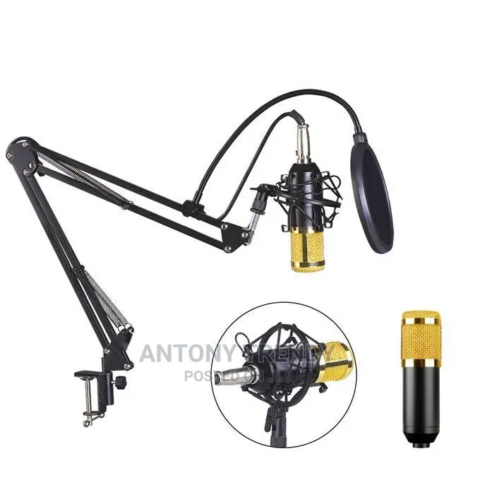 Multimedia Condenser Microphone Black Bm 800