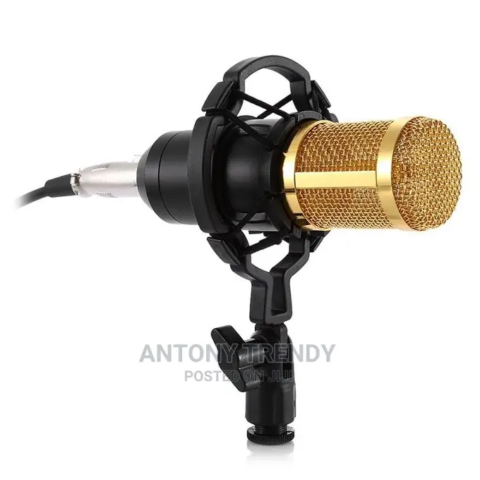 Multimedia Condenser Microphone Black