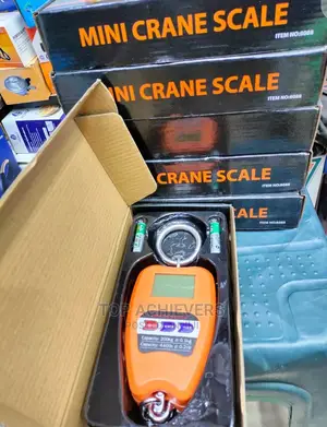 Digital Mini Crane Scale 200kg
