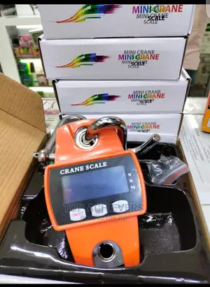 Mini Crane Scale 300kg/300kg Digital Hanging